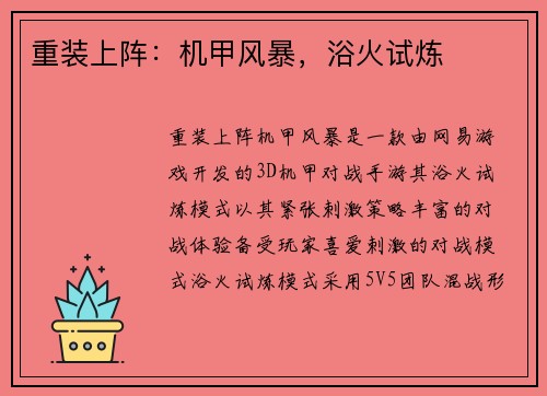 重装上阵：机甲风暴，浴火试炼